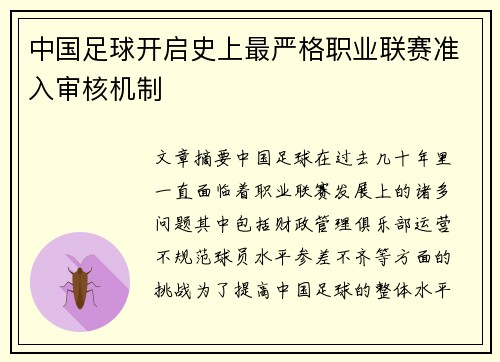 中国足球开启史上最严格职业联赛准入审核机制